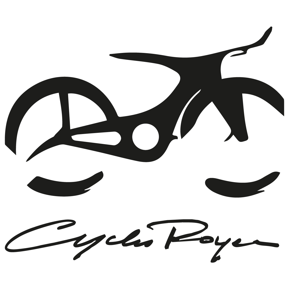 Les entreprises J.C. Roy Inc.  Supports à vélos CycleSafe MURAL